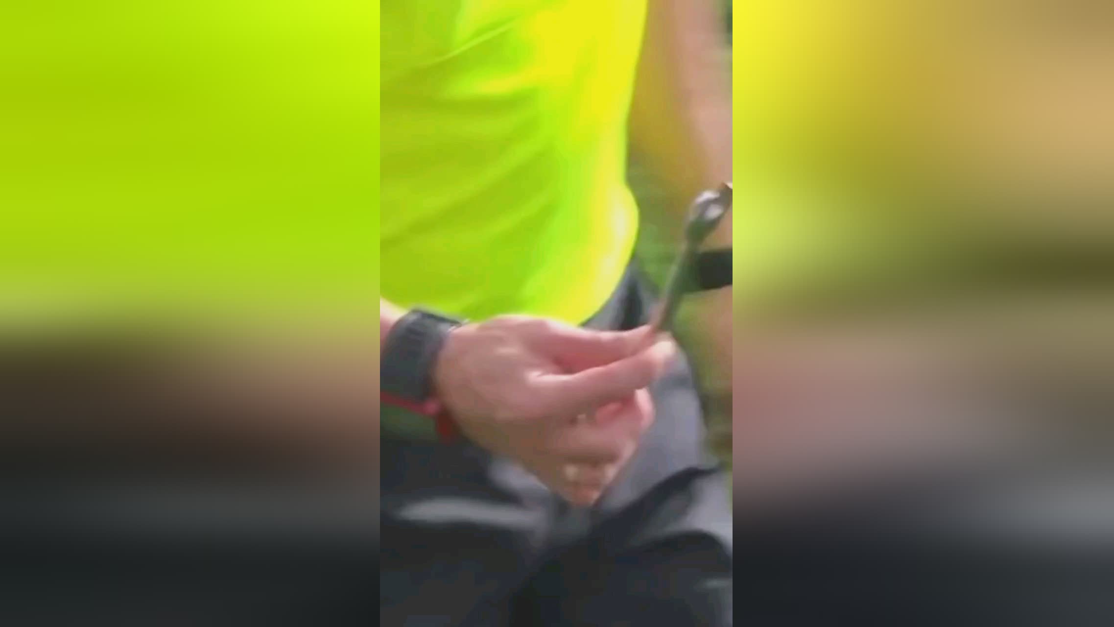 面效力巴